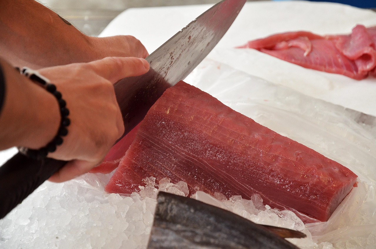 Canned Tuna Recipes